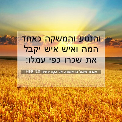Picture 07 - אגרת שאול הראשונה אל הקורינתים 3:8 HEB - והנטע והמשקה כאחד המה ואיש - Bible Verse Picture