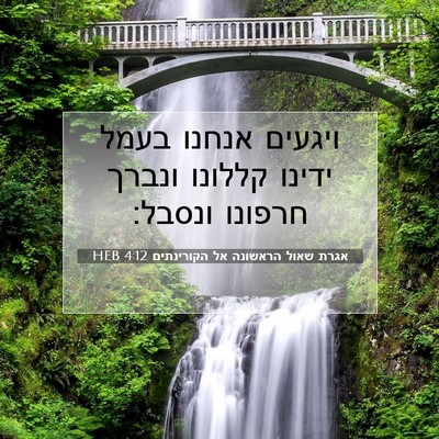 Picture 07 - אגרת שאול הראשונה אל הקורינתים 4:12 HEB - ויגעים אנחנו בעמל ידינו - Bible Verse Picture