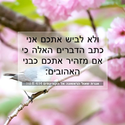 Picture 07 - אגרת שאול הראשונה אל הקורינתים 4:14 HEB - ולא לביש אתכם אני כתב - Bible Verse Picture