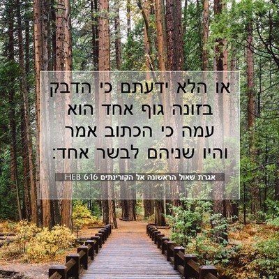Picture 07 - אגרת שאול הראשונה אל הקורינתים 6:16 HEB - או הלא ידעתם כי הדבק בזונה - Bible Verse Picture
