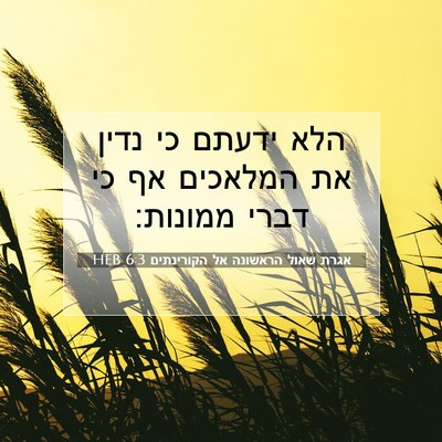 Picture 07 - אגרת שאול הראשונה אל הקורינתים 6:3 HEB - הלא ידעתם כי נדין את - Bible Verse Picture