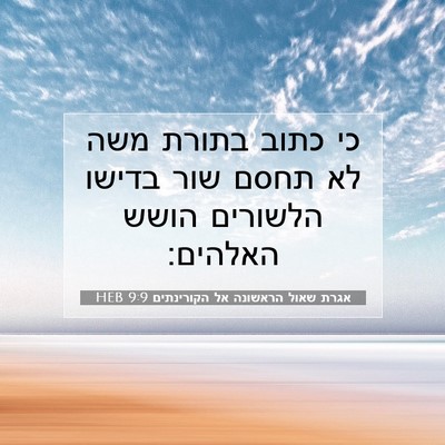 Picture 07 - אגרת שאול הראשונה אל הקורינתים 9:9 HEB - כי כתוב בתורת משה לא תחסם - Bible Verse Picture