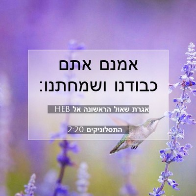 Picture 07 - אגרת שאול הראשונה אל התסלוניקים 2:20 HEB - אמנם אתם כבודנו - Bible Verse Picture