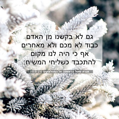 Picture 07 - אגרת שאול הראשונה אל התסלוניקים 2:6 HEB - גם לא בקשנו מן האדם כבוד לא - Bible Verse Picture