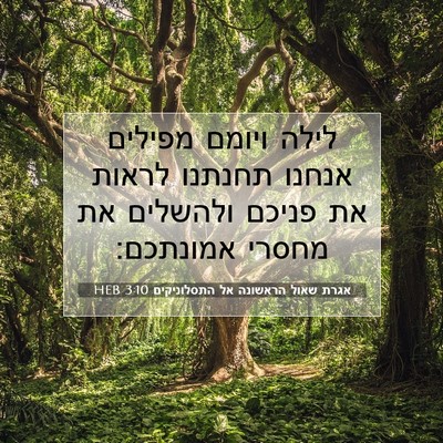 Picture 07 - אגרת שאול הראשונה אל התסלוניקים 3:10 HEB - לילה ויומם מפילים אנחנו - Bible Verse Picture