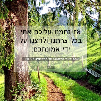 Picture 07 - אגרת שאול הראשונה אל התסלוניקים 3:7 HEB - אז נחמנו עליכם אחי בכל - Bible Verse Picture