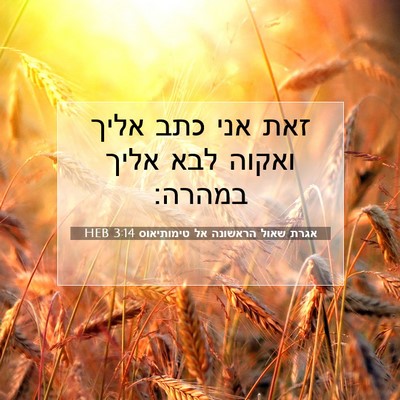 Picture 07 - אגרת שאול הראשונה אל טימותיאוס 3:14 HEB - זאת אני כתב אליך ואקוה לבא - Bible Verse Picture