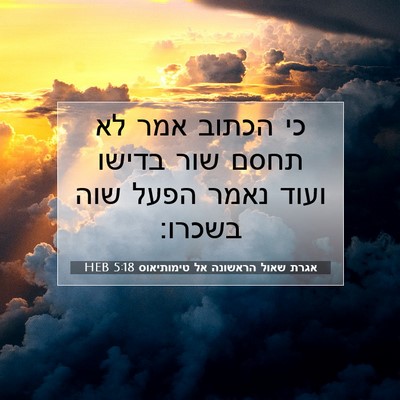 Picture 07 - אגרת שאול הראשונה אל טימותיאוס 5:18 HEB - כי הכתוב אמר לא תחסם שור - Bible Verse Picture