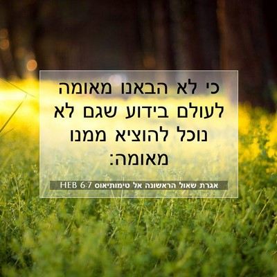 Picture 07 - אגרת שאול הראשונה אל טימותיאוס 6:7 HEB - כי לא הבאנו מאומה לעולם - Bible Verse Picture