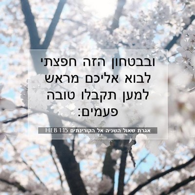 Picture 07 - אגרת שאול השניה אל הקורינתים 1:15 HEB - ובבטחון הזה חפצתי לבוא - Bible Verse Picture
