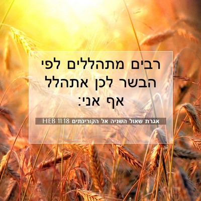 Picture 07 - אגרת שאול השניה אל הקורינתים 11:18 HEB - רבים מתהללים לפי הבשר לכן - Bible Verse Picture