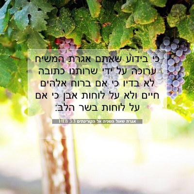 Picture 07 - אגרת שאול השניה אל הקורינתים 3:3 HEB - כי בידוע שאתם אגרת המשיח - Bible Verse Picture
