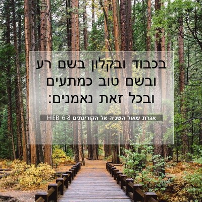 Picture 07 - אגרת שאול השניה אל הקורינתים 6:8 HEB - בכבוד ובקלון בשם רע ובשם - Bible Verse Picture