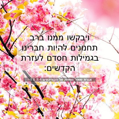 Picture 07 - אגרת שאול השניה אל הקורינתים 8:4 HEB - ויבקשו ממנו ברב תחנונים - Bible Verse Picture