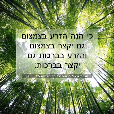 Picture 07 - אגרת שאול השניה אל הקורינתים 9:6 HEB - כי הנה הזרע בצמצום גם יקצר - Bible Verse Picture