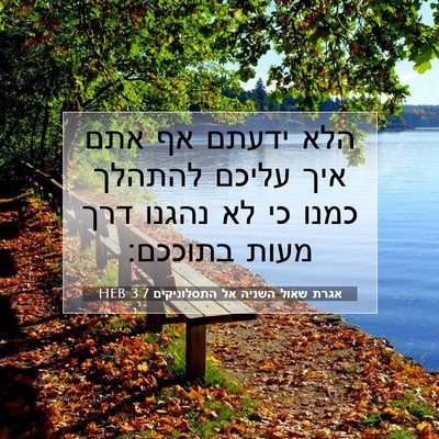 Picture 07 - אגרת שאול השניה אל התסלוניקים 3:7 HEB - הלא ידעתם אף אתם איך עליכם - Bible Verse Picture