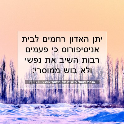 Picture 07 - אגרת שאול השניה אל טימותיאוס 1:16 HEB - יתן האדון רחמים לבית - Bible Verse Picture