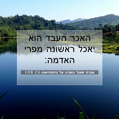 Picture 07 - אגרת שאול השניה אל טימותיאוס 2:6 HEB - האכר העבד הוא יאכל ראשונה - Bible Verse Picture