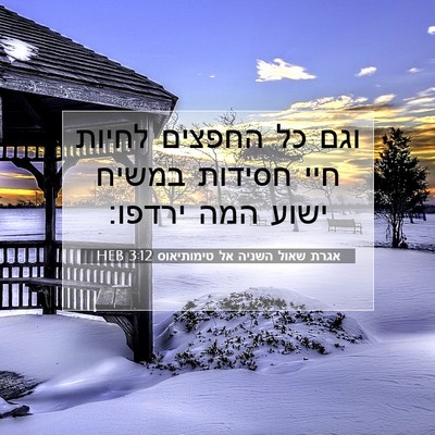 Picture 07 - אגרת שאול השניה אל טימותיאוס 3:12 HEB - וגם כל החפצים לחיות חיי - Bible Verse Picture