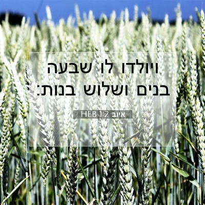 Picture 07 - איוב 1:2 HEB - ויולדו לו שבעה בנים ושלוש - Bible Verse Picture
