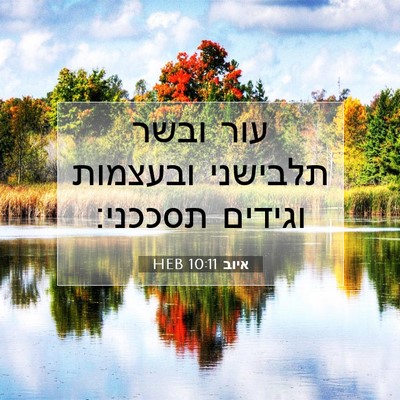 Picture 07 - איוב 10:11 HEB - עור ובשר תלבישני ובעצמות - Bible Verse Picture