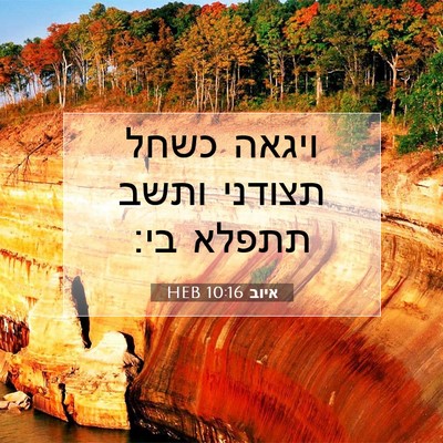 Picture 07 - איוב 10:16 HEB - ויגאה כשחל תצודני ותשב - Bible Verse Picture