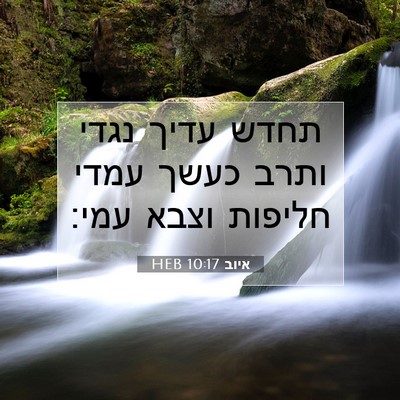 Picture 07 - איוב 10:17 HEB - תחדש עדיך נגדי ותרב כעשך - Bible Verse Picture