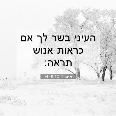 Picture 07 - איוב 10:4 HEB - העיני בשר לך אם כראות אנוש - Bible Verse Picture