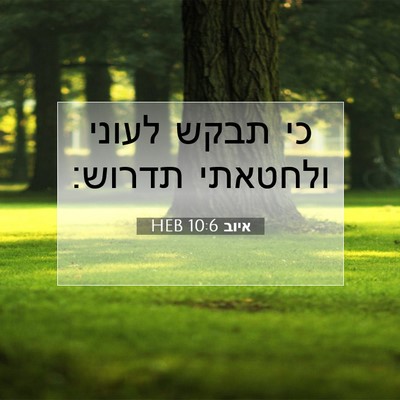 Picture 07 - איוב 10:6 HEB - כי תבקש לעוני ולחטאתי - Bible Verse Picture