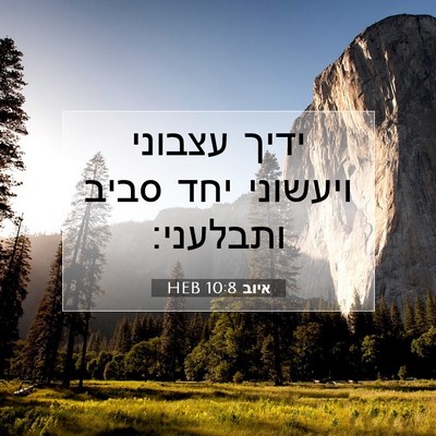 Picture 07 - איוב 10:8 HEB - ידיך עצבוני ויעשוני יחד - Bible Verse Picture