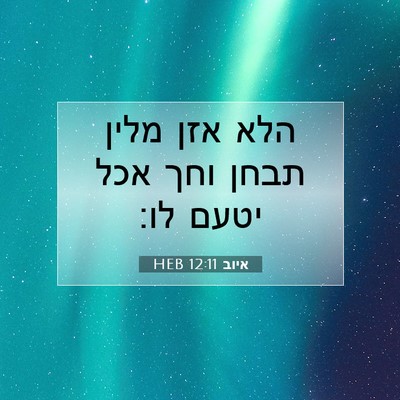 Picture 07 - איוב 12:11 HEB - הלא אזן מלין תבחן וחך אכל - Bible Verse Picture
