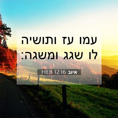 Picture 07 - איוב 12:16 HEB - עמו עז ותושיה לו שגג - Bible Verse Picture