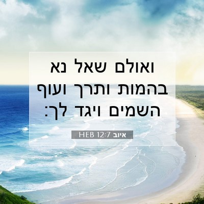 Picture 07 - איוב 12:7 HEB - ואולם שאל נא בהמות ותרך - Bible Verse Picture
