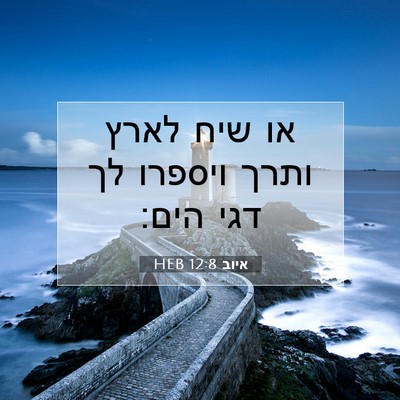 Picture 07 - איוב 12:8 HEB - או שיח לארץ ותרך ויספרו לך - Bible Verse Picture