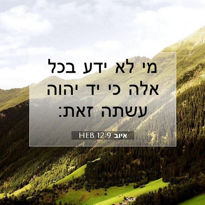 Picture 07 - איוב 12:9 HEB - מי לא ידע בכל אלה כי יד יהוה - Bible Verse Picture