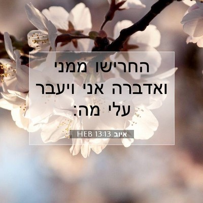 Picture 07 - איוב 13:13 HEB - החרישו ממני ואדברה אני - Bible Verse Picture