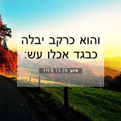 Picture 07 - איוב 13:28 HEB - והוא כרקב יבלה כבגד אכלו - Bible Verse Picture