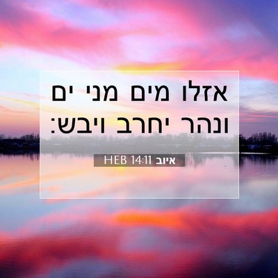 Picture 07 - איוב 14:11 HEB - אזלו מים מני ים ונהר יחרב - Bible Verse Picture