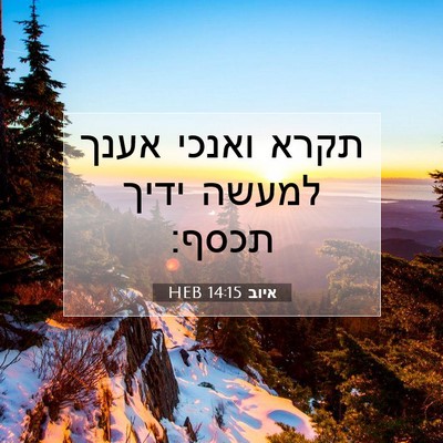 Picture 07 - איוב 14:15 HEB - תקרא ואנכי אענך למעשה ידיך - Bible Verse Picture