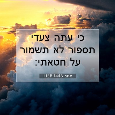 Picture 07 - איוב 14:16 HEB - כי עתה צעדי תספור לא תשמור - Bible Verse Picture