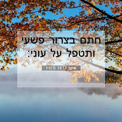 Picture 07 - איוב 14:17 HEB - חתם בצרור פשעי ותטפל על - Bible Verse Picture