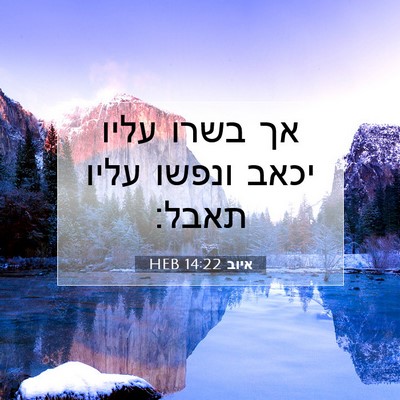 Picture 07 - איוב 14:22 HEB - אך בשרו עליו יכאב ונפשו - Bible Verse Picture