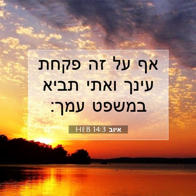 Picture 07 - איוב 14:3 HEB - אף על זה פקחת עינך ואתי - Bible Verse Picture