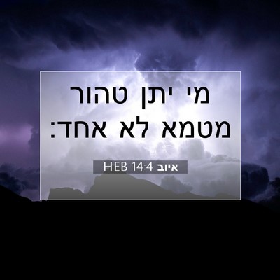 Picture 07 - איוב 14:4 HEB - מי יתן טהור מטמא לא - Bible Verse Picture