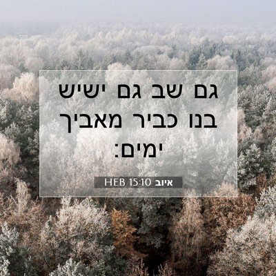 Picture 07 - איוב 15:10 HEB - גם שב גם ישיש בנו כביר - Bible Verse Picture