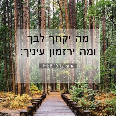 Picture 07 - איוב 15:12 HEB - מה יקחך לבך ומה ירזמון - Bible Verse Picture