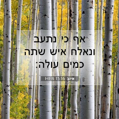 Picture 07 - איוב 15:16 HEB - אף כי נתעב ונאלח איש שתה - Bible Verse Picture