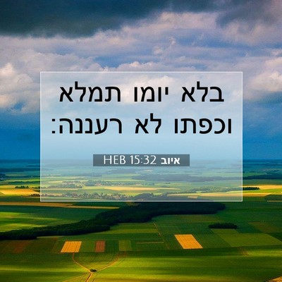 Picture 07 - איוב 15:32 HEB - בלא יומו תמלא וכפתו לא - Bible Verse Picture