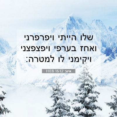 Picture 07 - איוב 16:12 HEB - שלו הייתי ויפרפרני ואחז - Bible Verse Picture