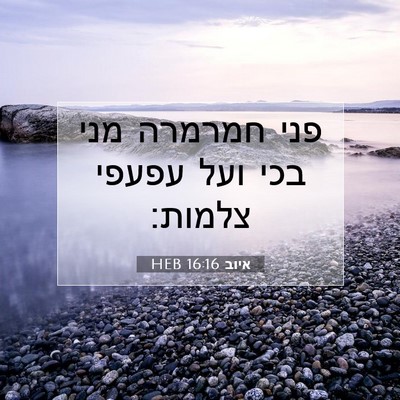 Picture 07 - איוב 16:16 HEB - פני חמרמרה מני בכי ועל - Bible Verse Picture